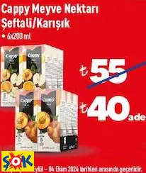 CAPPY MEYVE NEKTARI ŞEFTALİ/KARIŞIK 6X200 ML